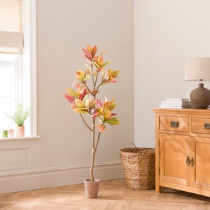Artificial Croton Tree In Terracotta Plant Pot