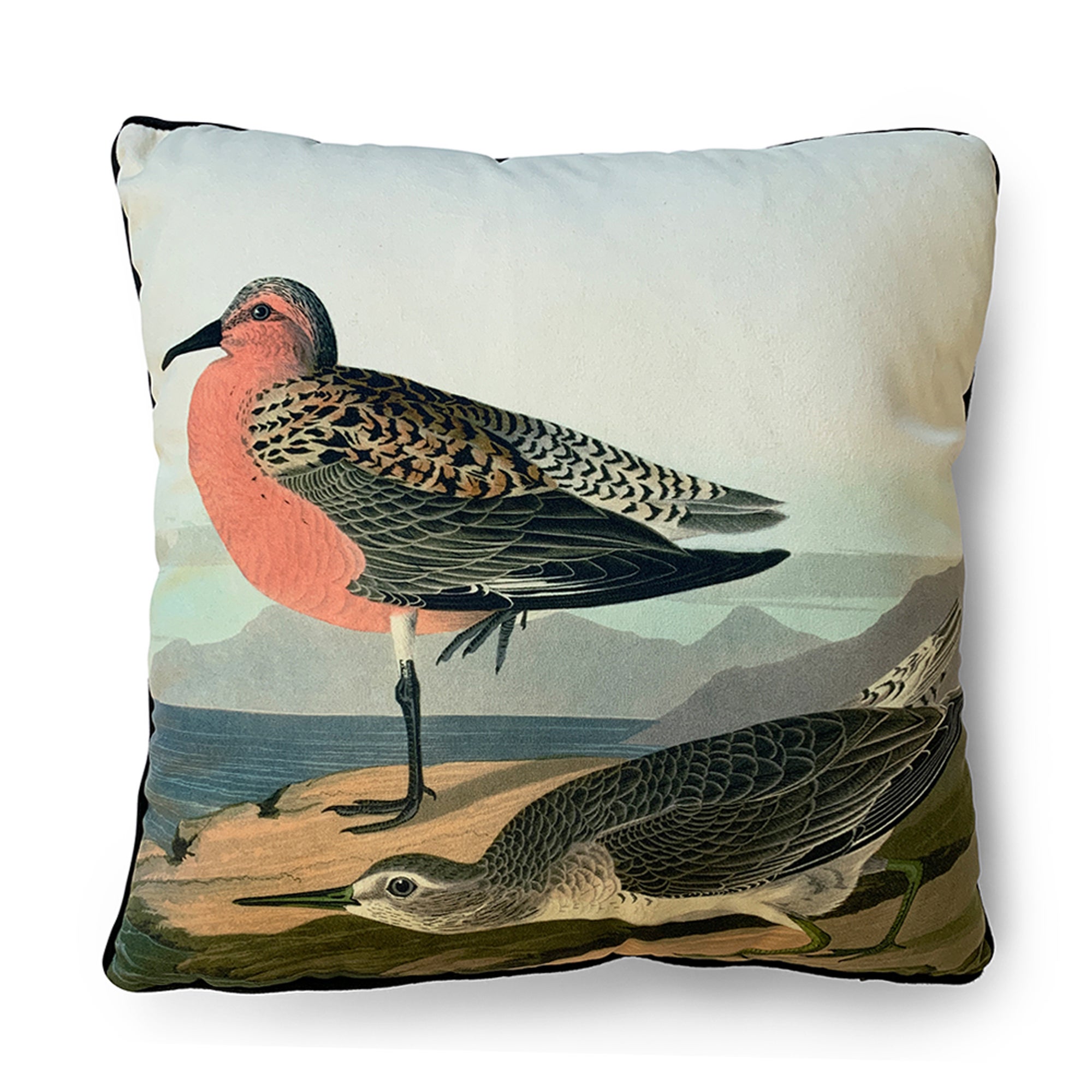 The Art Group John James Audubon Red breasted Sandpiper Velvet Square Cushion