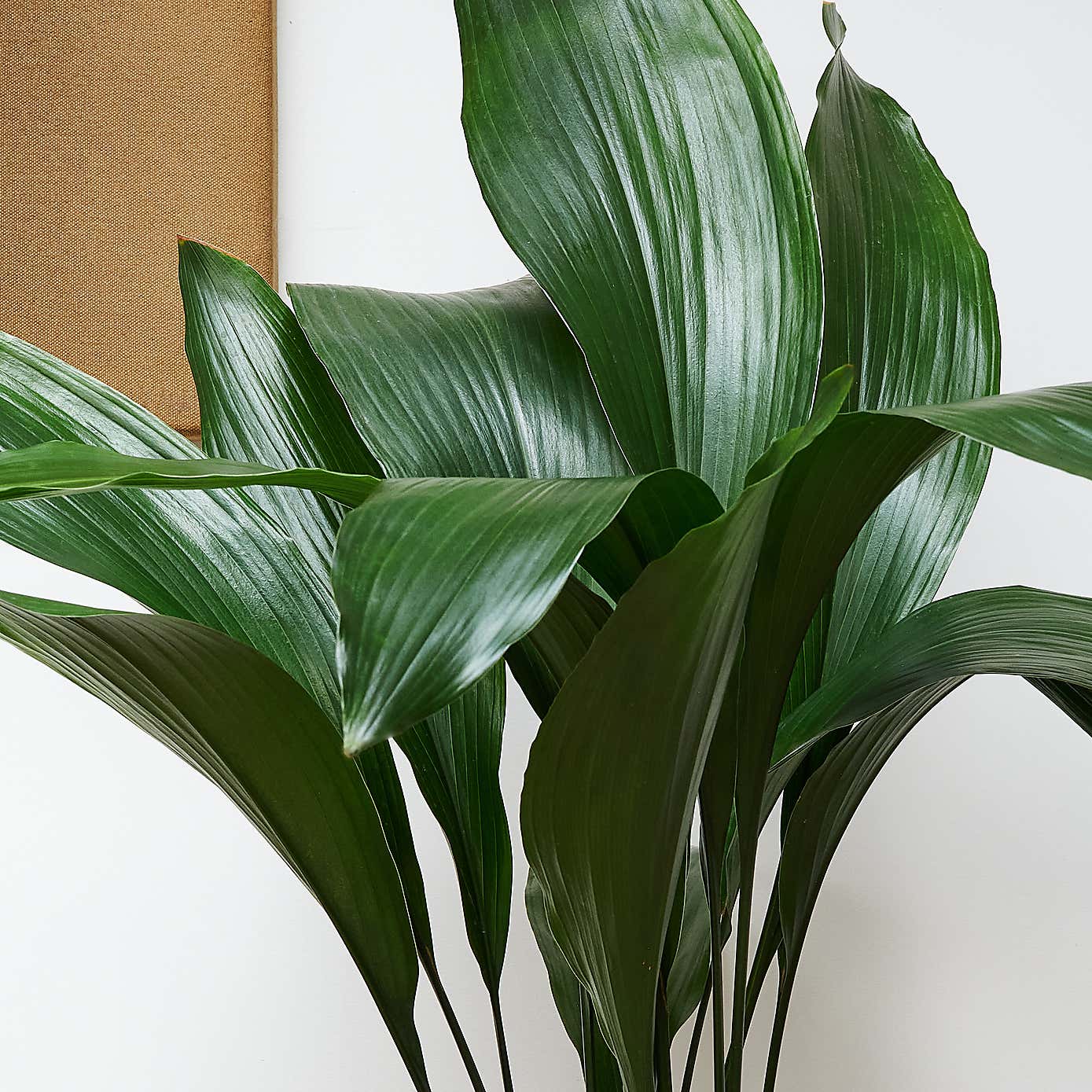 Carousel zoom image position 2 of 4