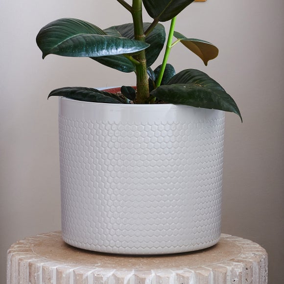 Carousel navigation image position 3 of 4