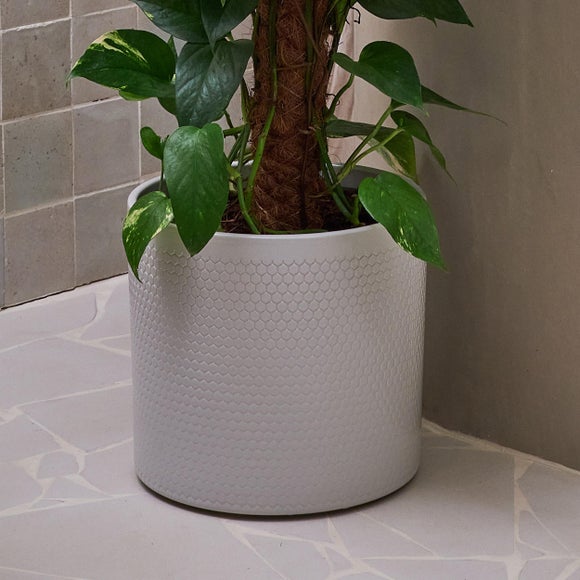 Carousel navigation image position 3 of 4