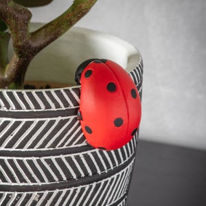 Cedar & Sage Set Of 2 Layla Ladybird Pot Hangers