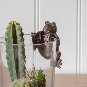 Set Of 2 Freddie Frog Pot Hangers