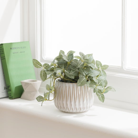 Artificial Fittonia Plant In Textured Ceramic Plant Pot