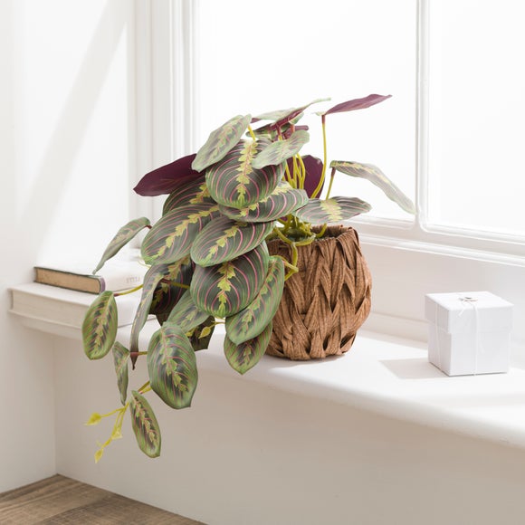 Artificial Prayer Plant In Woven Plant Pot