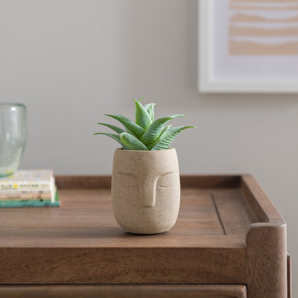 Artificial Succulent In Face Plant Pot