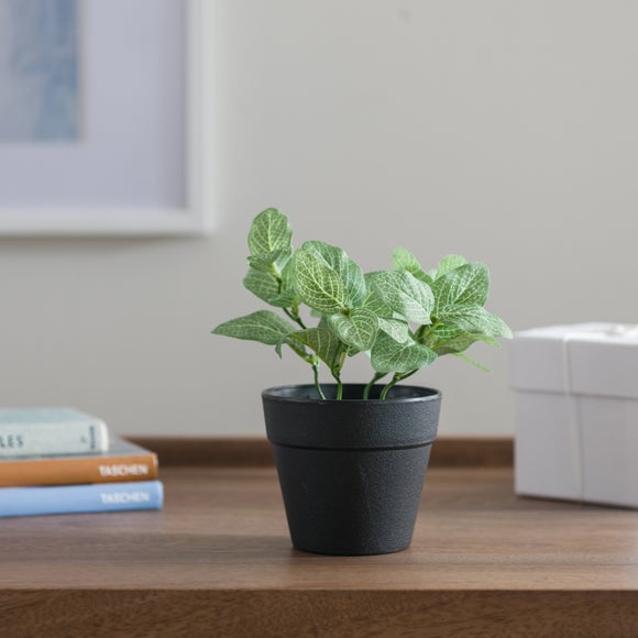 Artificial Fittonia Plant In Black Plant Pot