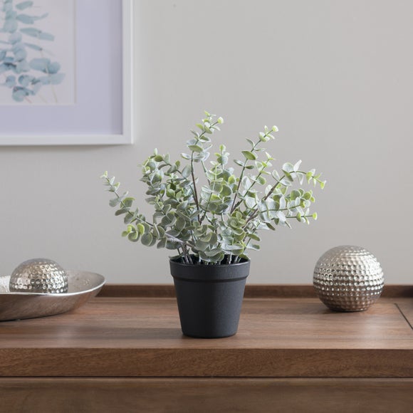 Artificial Eucalyptus Plant In Black Plant Pot