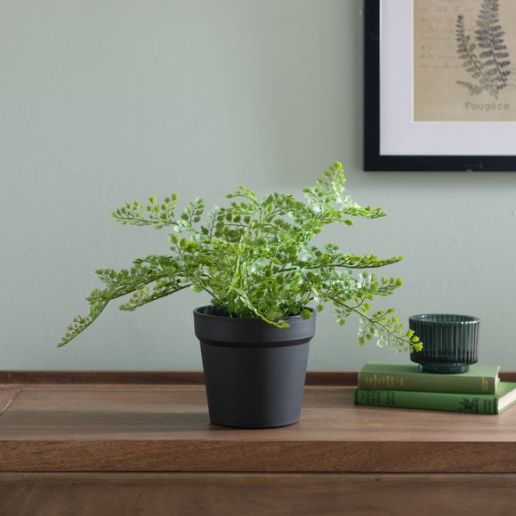 Artificial Maidenhair Fern In Black Plant Pot