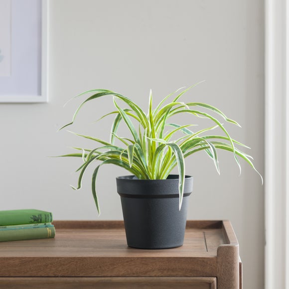 Artificial Spider Plant In Black Plant Pot