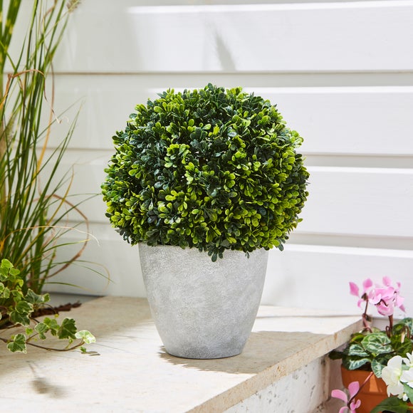 Round Topiary Tree In Grey Plant Pot