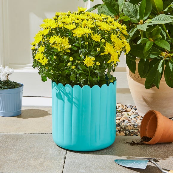 Bright Scalloped Metal Plant Pot