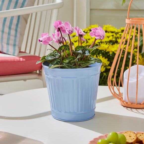 Small Bright Metal Bucket Plant Pot