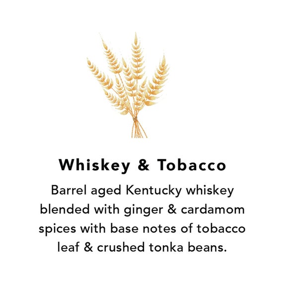 Northern Lights Whiskey & Tobacco Spirit Candle - 5 Oz - Amber Glass, Free Shipping