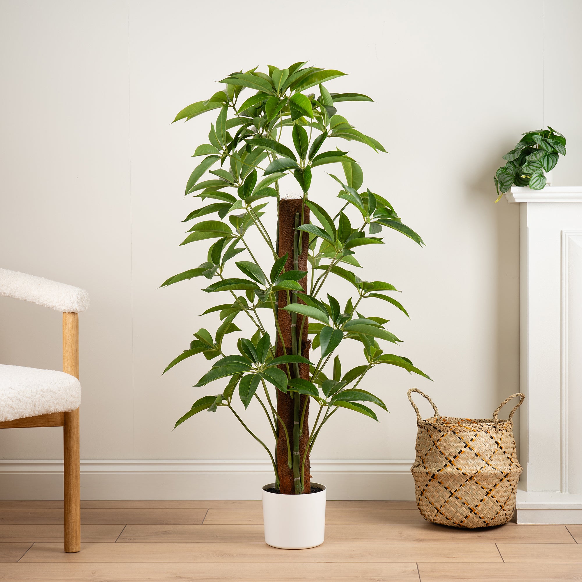 Artificial Climbing Umbrella Plant In White Pot Green