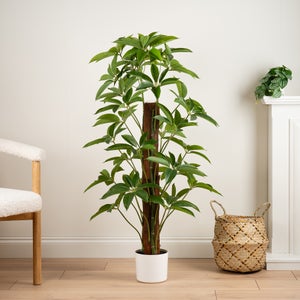 Artificial Climbing Umbrella Plant In White Plant Pot