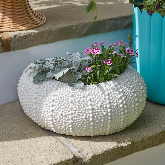 Sea Urchin Plant Pot