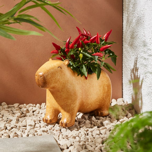 Resin Capybara Plant Pot