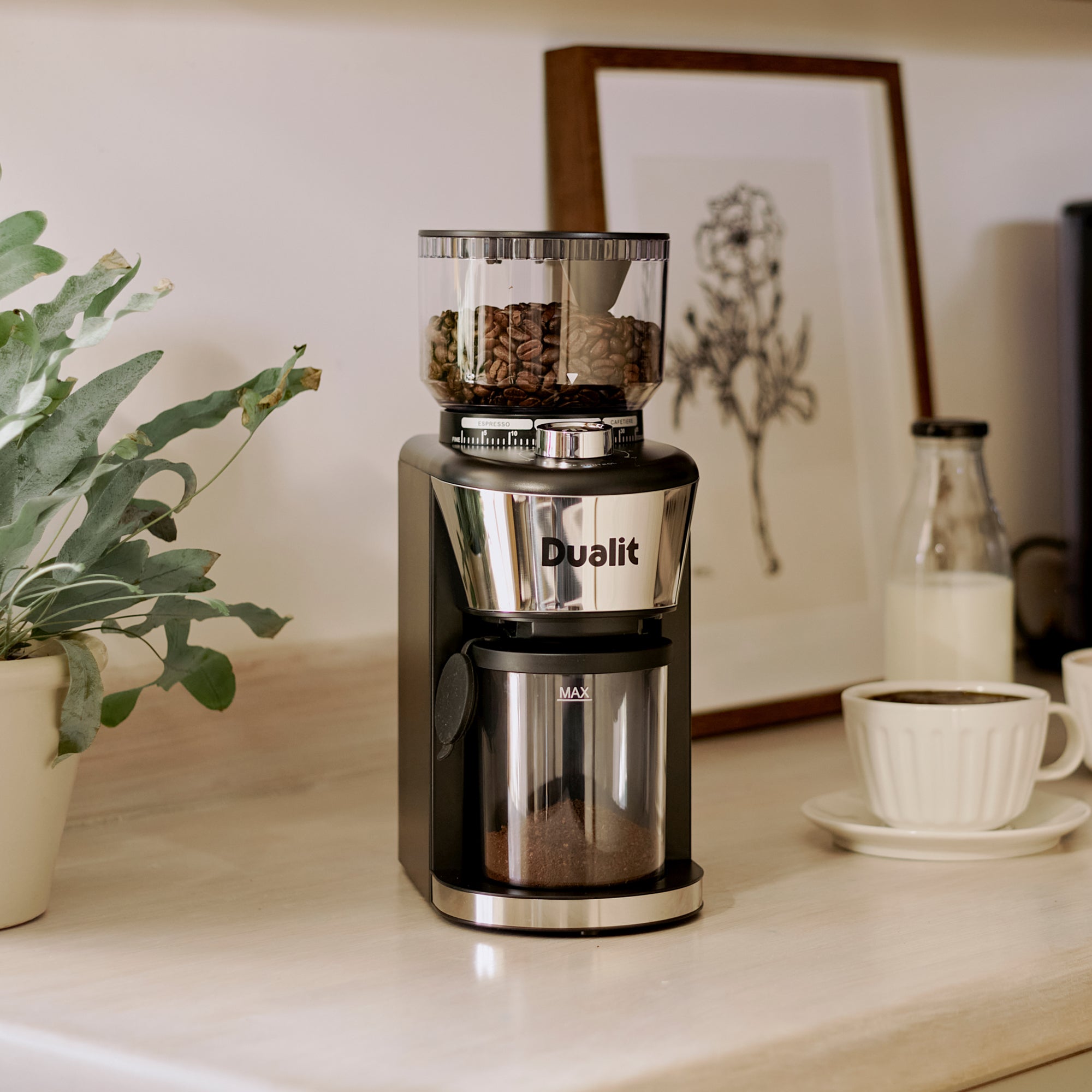 Dualit Burr Coffee Grinder