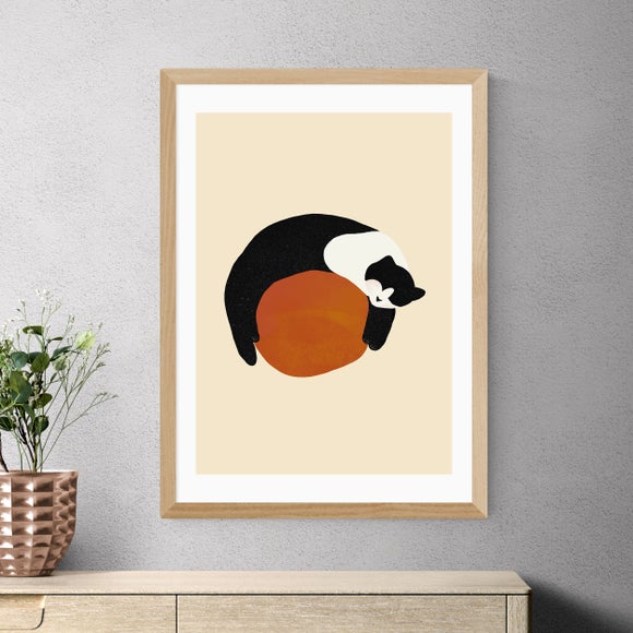 East End Prints Sleeping Cat Print By Sifa Mustafa