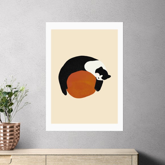 East End Prints Sleeping Cat Print By Sifa Mustafa