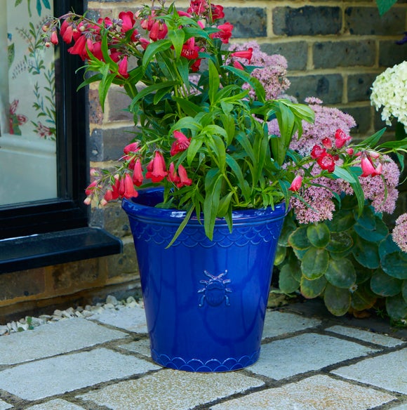 Sophie Robinson Large Cobalt Blue Stoneware Plant Pot