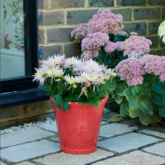 Sophie Robinson Small Watermelon Plant Pot