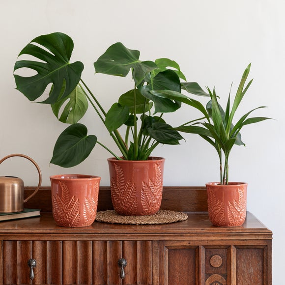 Kew Embossed Fern Plant Pot