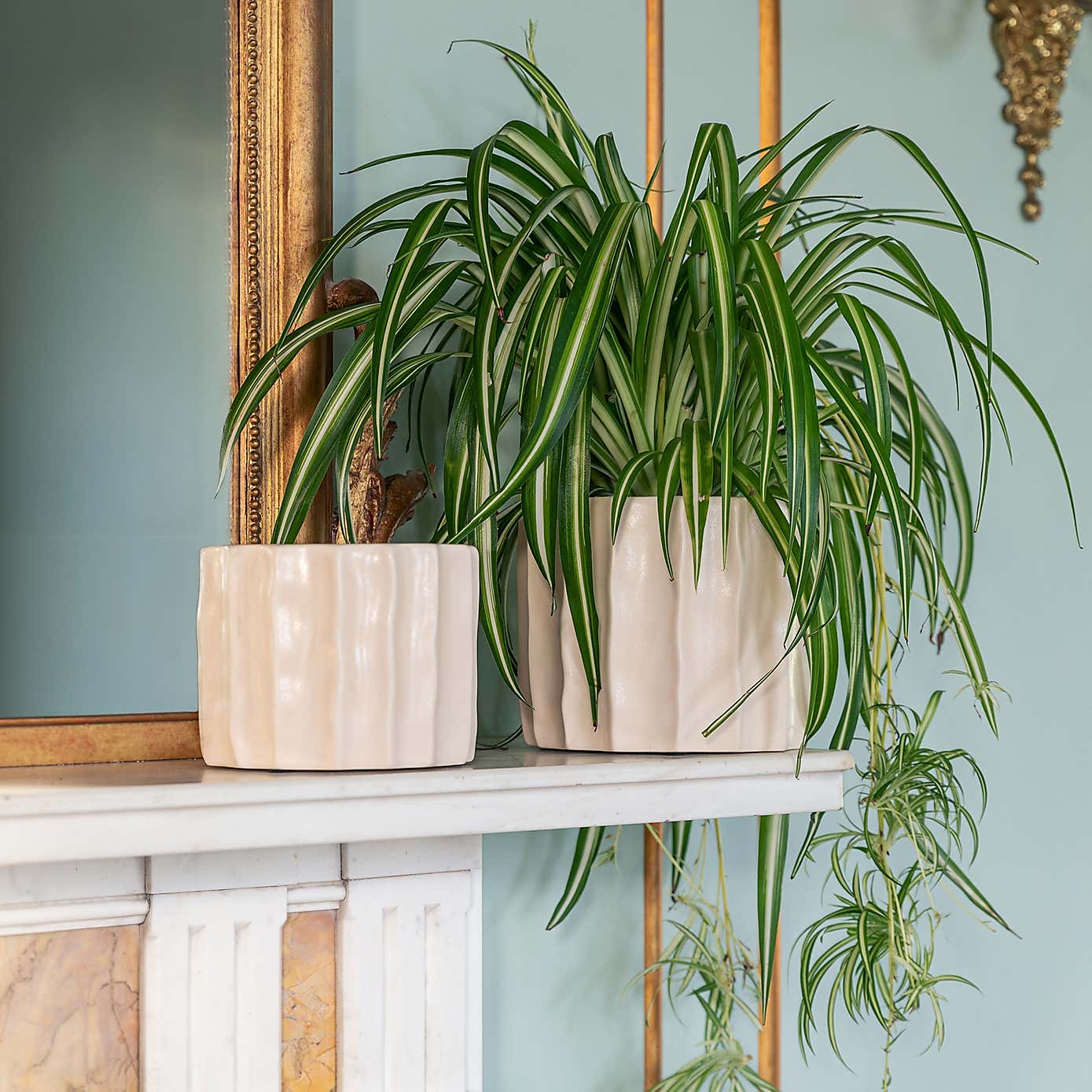 Carousel zoom image position 1 of 4