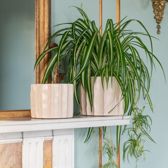 Kew Organic Ripple Bone Plant Pot