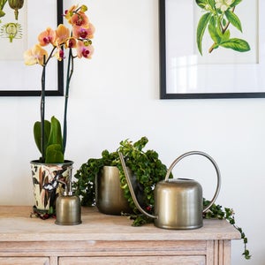 Kew Matt Brass Watering Can 19cm