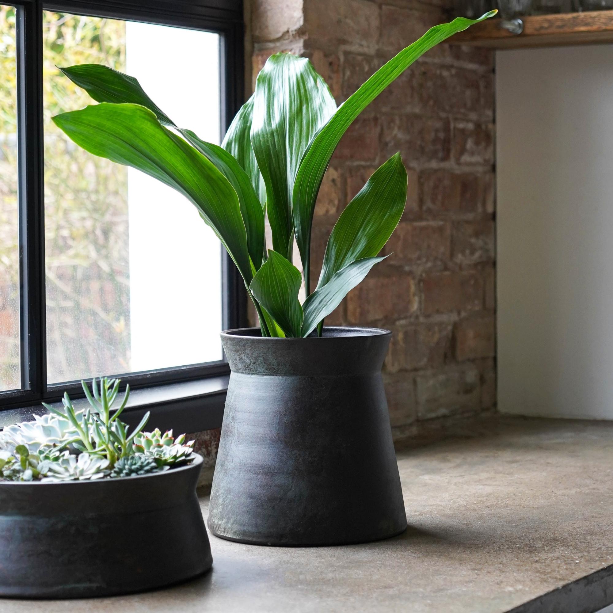 Kew Handthrown Plant Pot