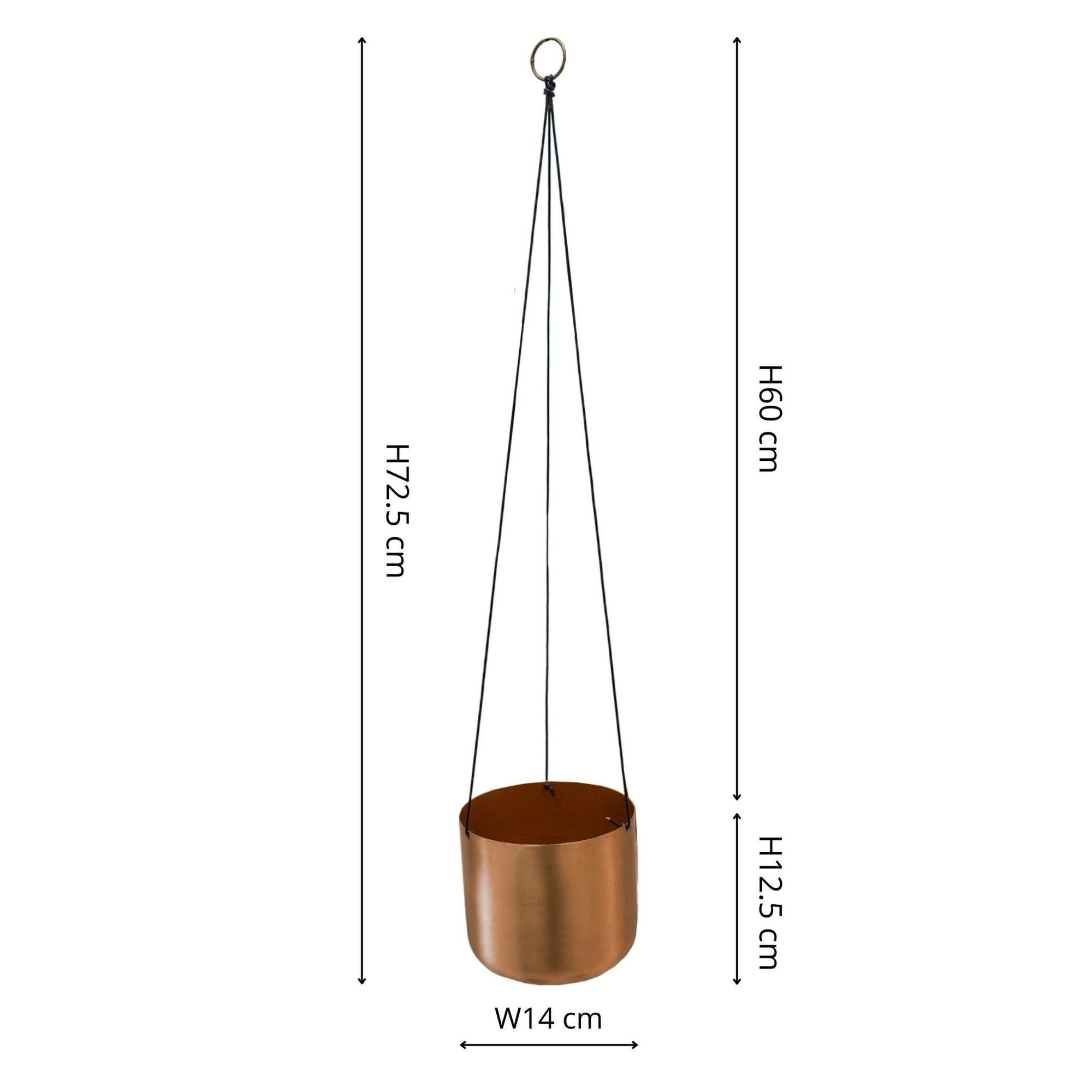 Carousel navigation image position 2 of 5