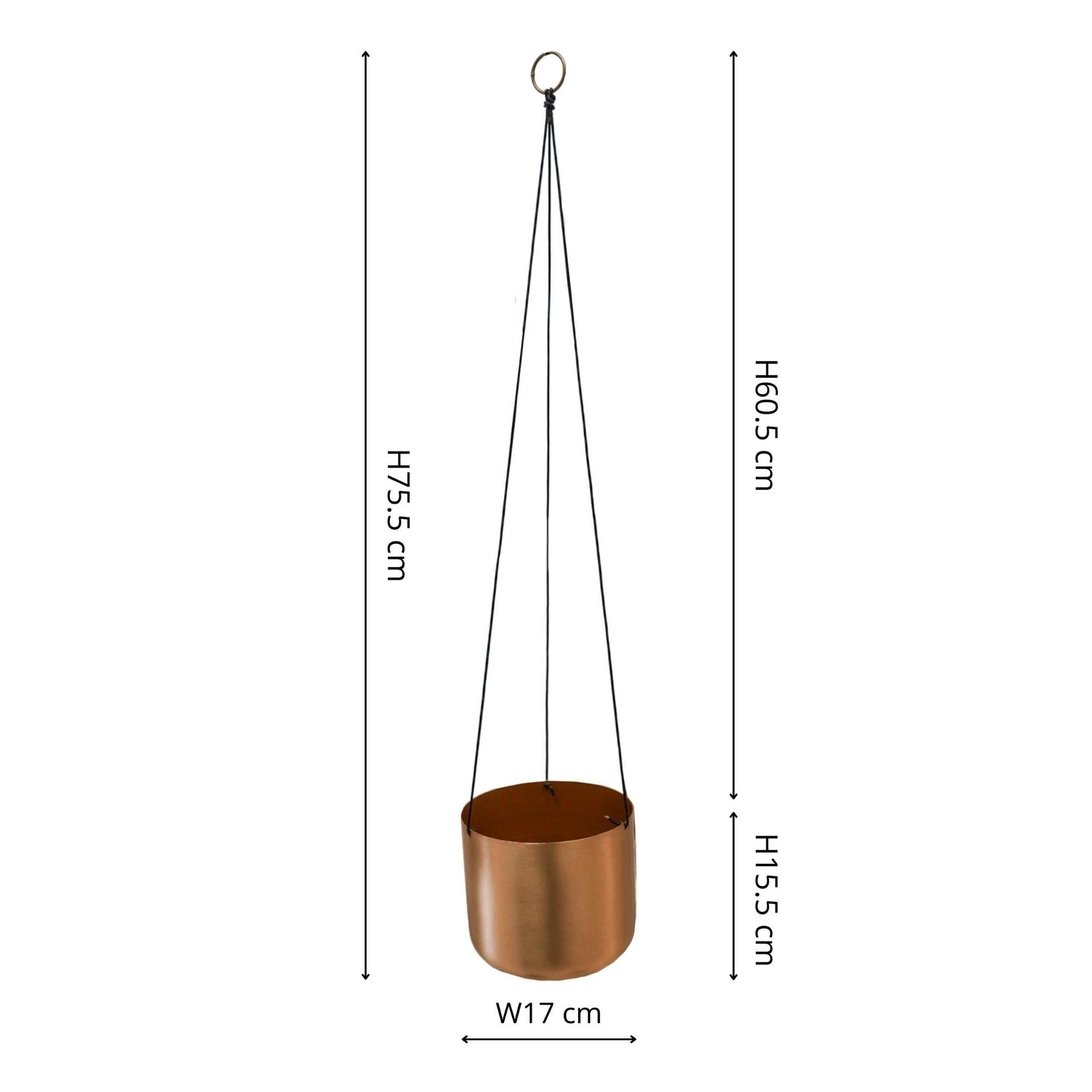 Carousel navigation image position 2 of 5