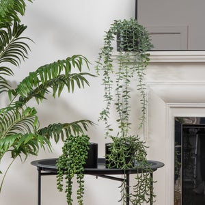 Set Of 3 Artificial Trailing Plants In Black Ceramic Pots