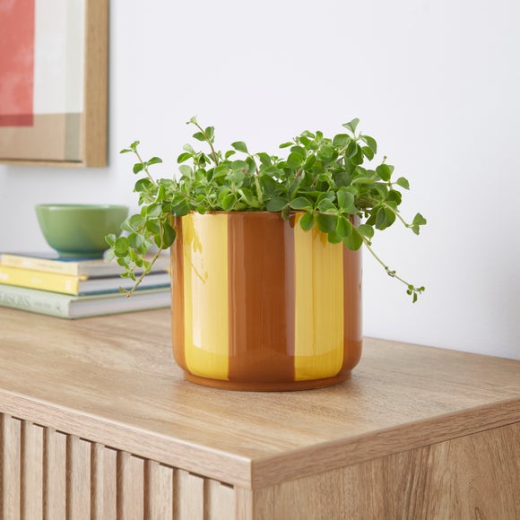 Elements Striped Ceramic Plant Pot