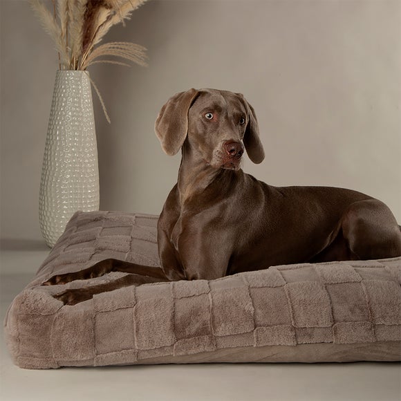 Scruffs Oxford Dog Bed Mattress Dunelm