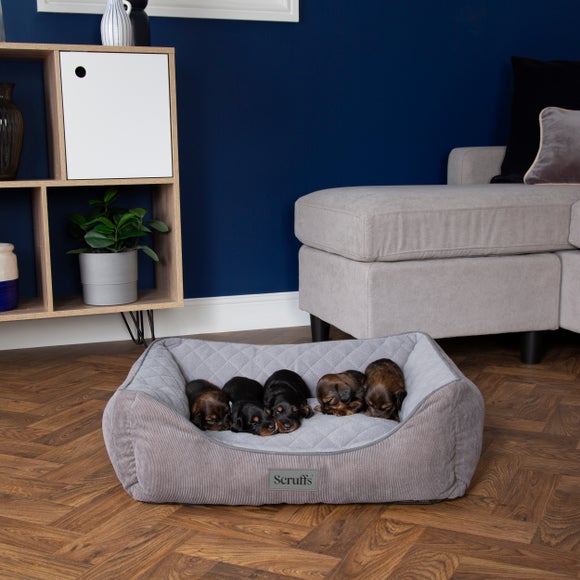 Scruffs Self Heating Thermal Dog Box Bed