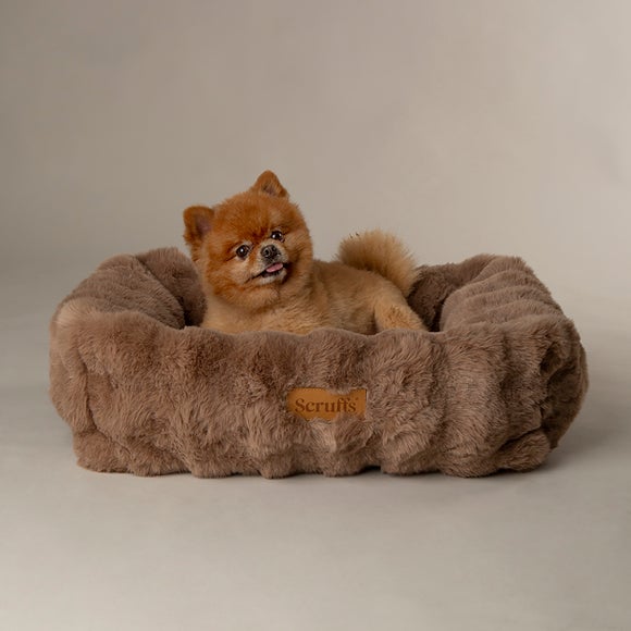 Scruffs Luxurious Alpine Dog Box Bed