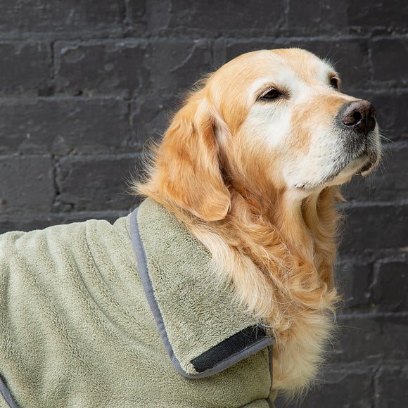 Carousel navigation image position 2 of 6