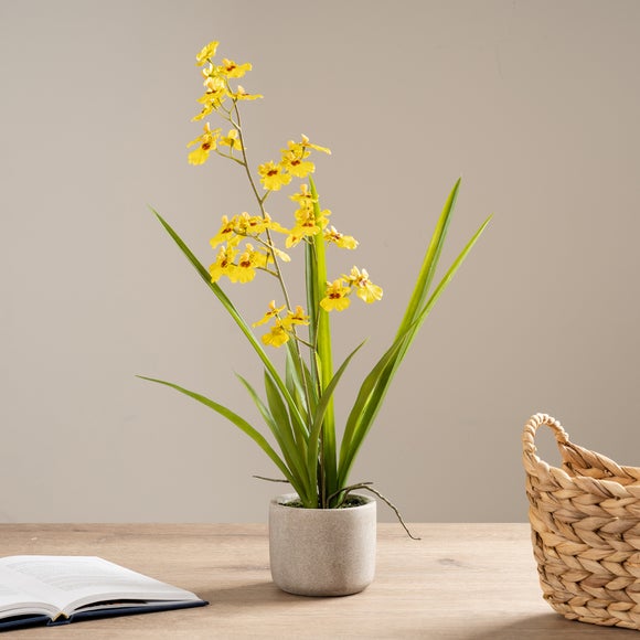 Click to view product details and reviews for Artificial Real Touch Yellow Oncidium Orchid Spray In Cement Plant Pot.