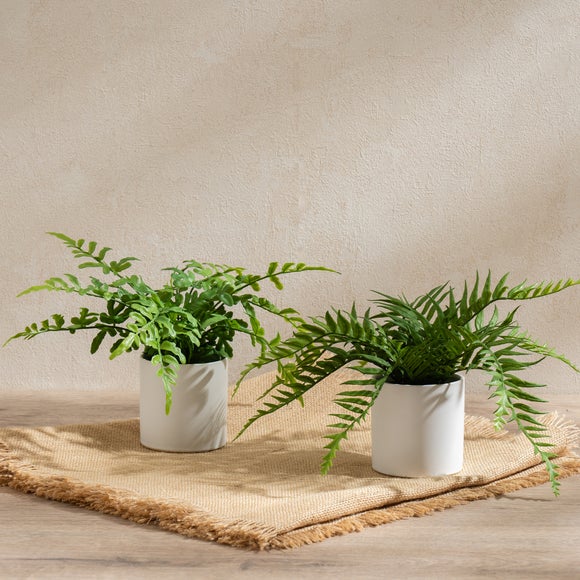 Set Of 2 Artificial Ferns In Ceramic Plant Pots