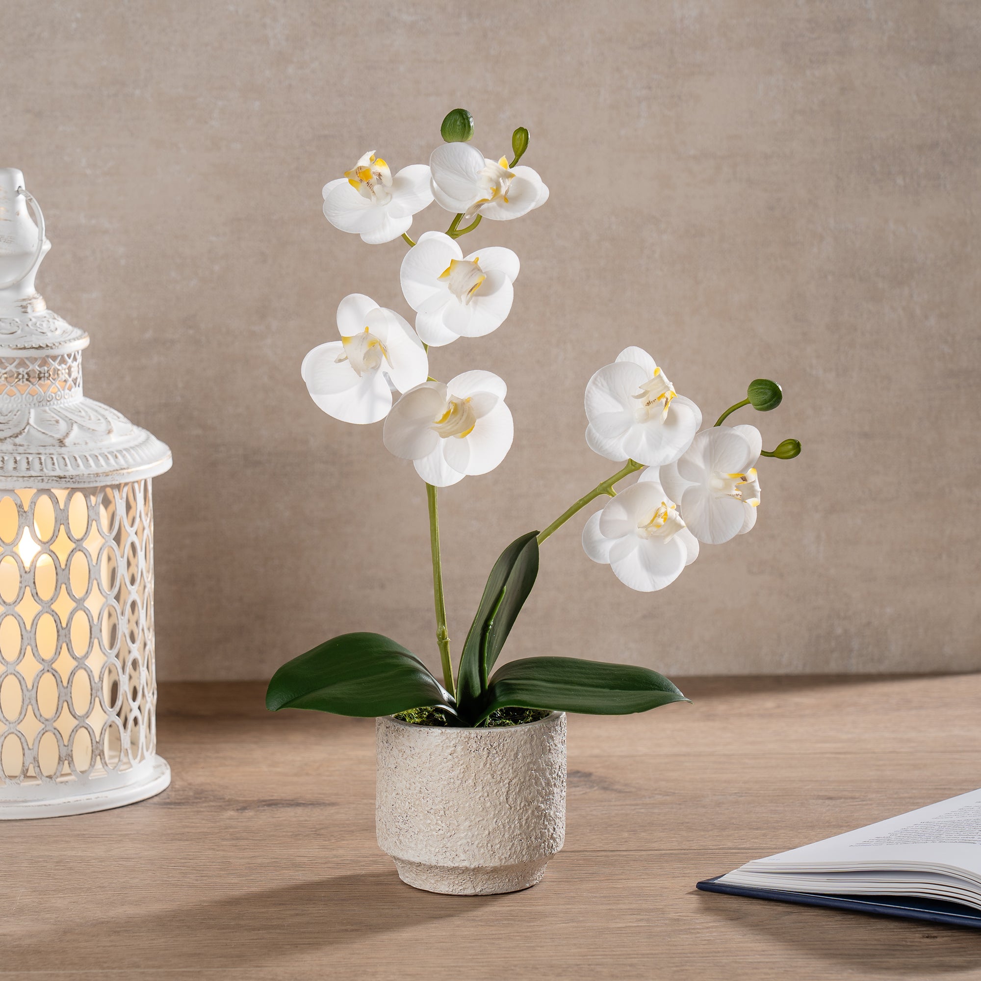 Artificial Real Touch Mini Phalaenopsis Orchid In Cement Plant Pot White