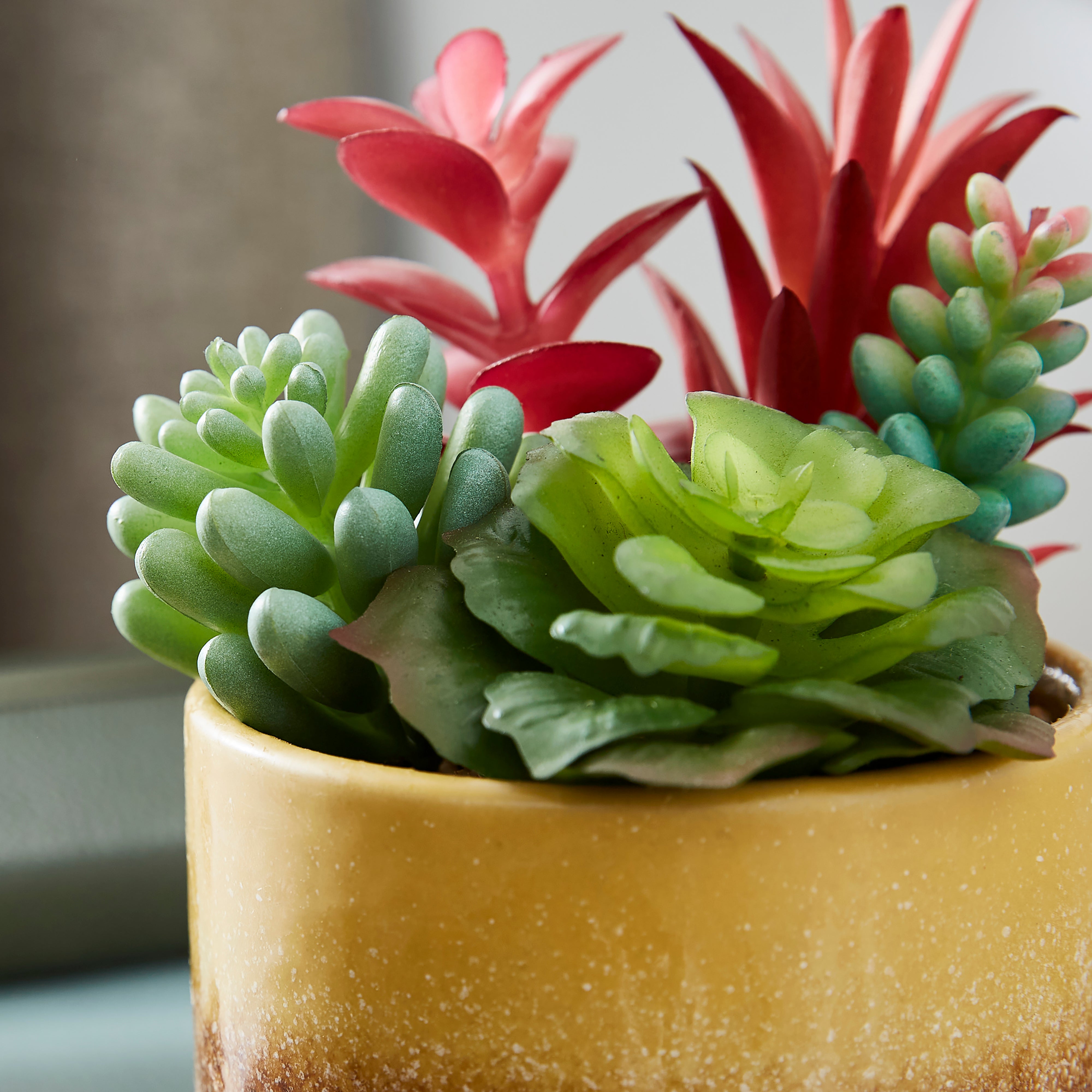 Artificial Succulents in Yellow Stripe Glazed Plant Pot Yellow