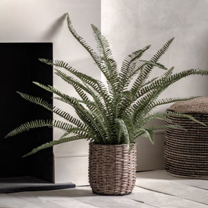 Cedar & Sage Artificial Fern In Wicker Plant Pot