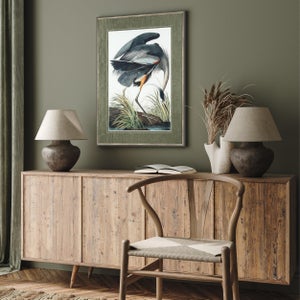 Cedar & Sage Vintage Blue Heron Framed Print