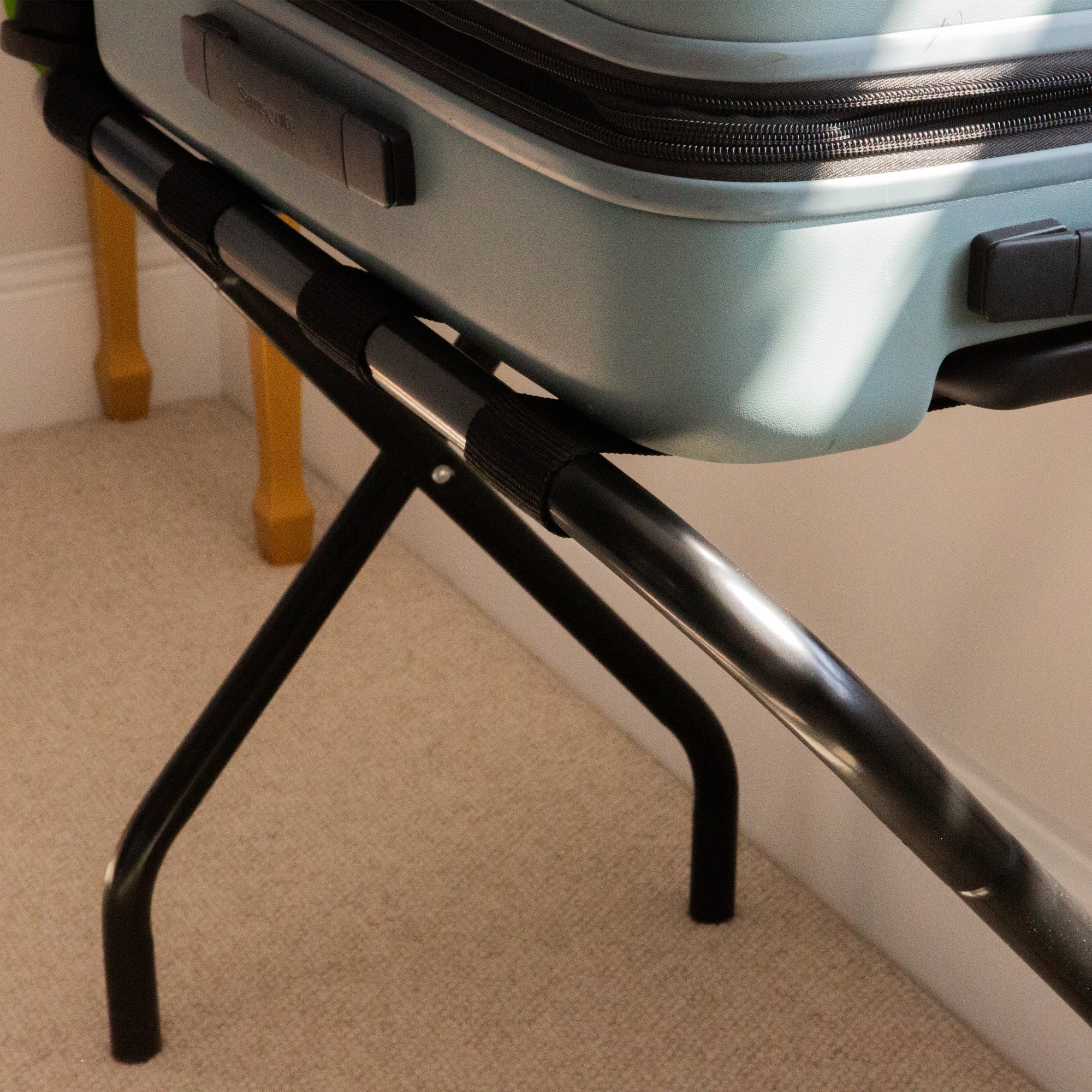 Carousel navigation image position 2 of 4