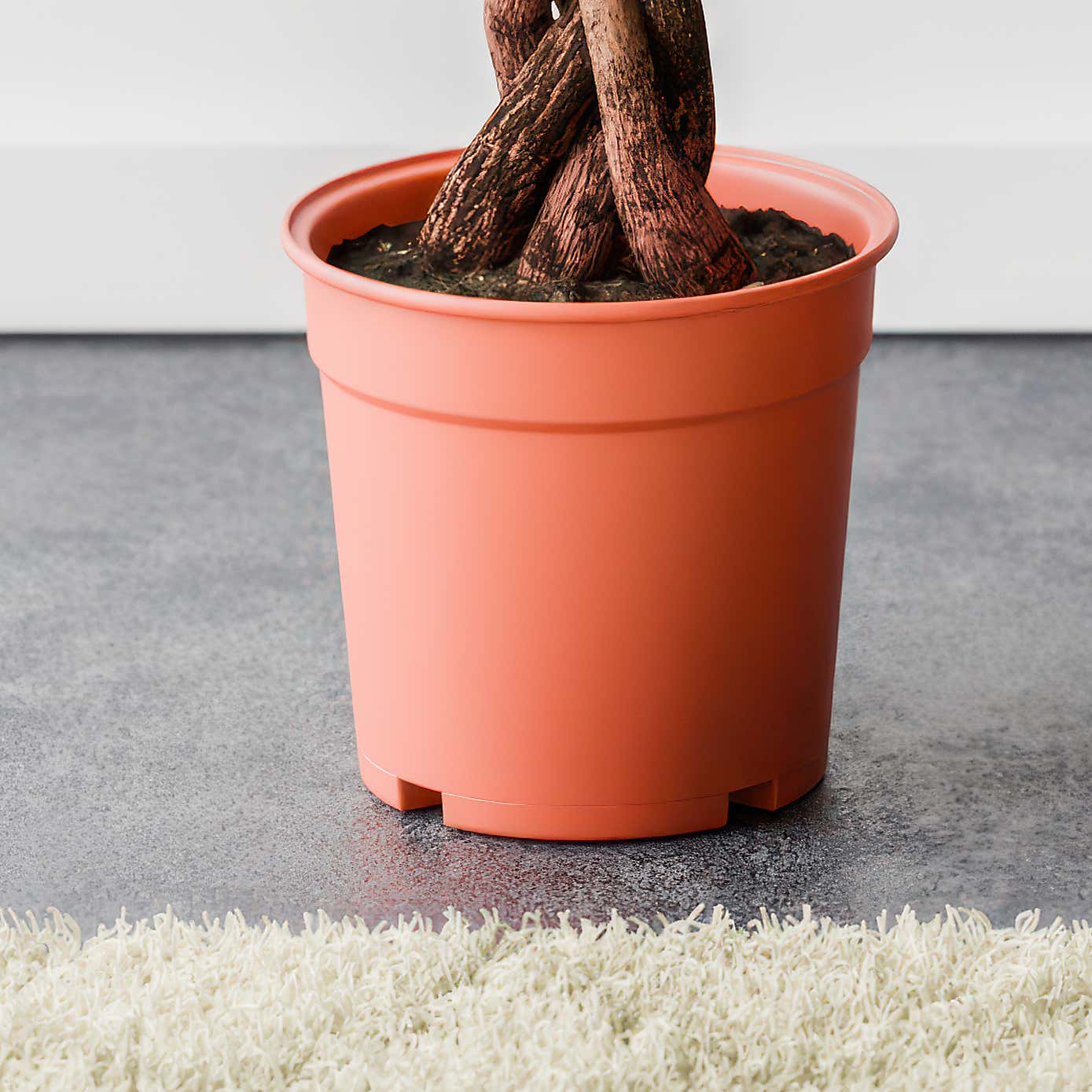 Carousel zoom image position 4 of 5