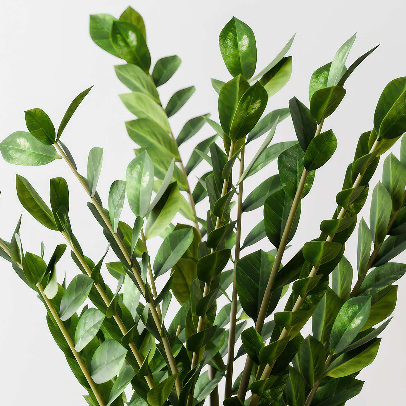 Carousel zoom image position 2 of 4