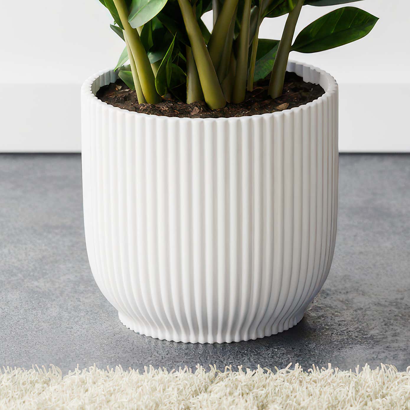 Carousel zoom image position 3 of 4